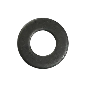 FFWSP10